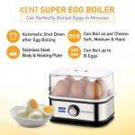 Kent super egg boiler