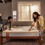 SleepyCat Memory Foam Mattress with Bamboo Cover