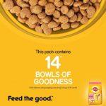 Pedigree Adult Dry Dog Food, Chicken & Vegetables