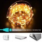 XERGY 20 Meter 200 LED's Fairy Decorative String Light
