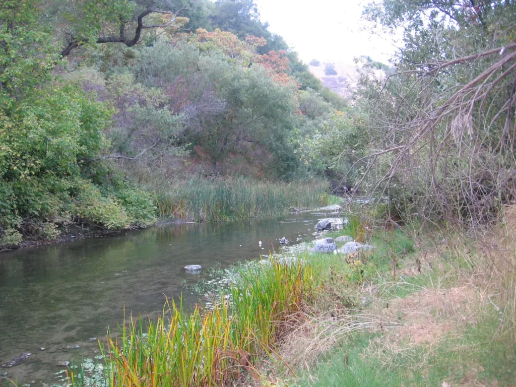 Alameda Creek running over rocks between wooded banks in Niles Canyon, between Fremont and Sunol, California