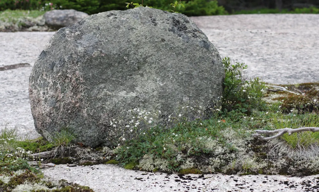 A large rounded glacial boulder resting on a bare granite slab on the shoulder of Welsh Mountain in Waterville Valley, New Hampshire (not the Polar Caves boulder)