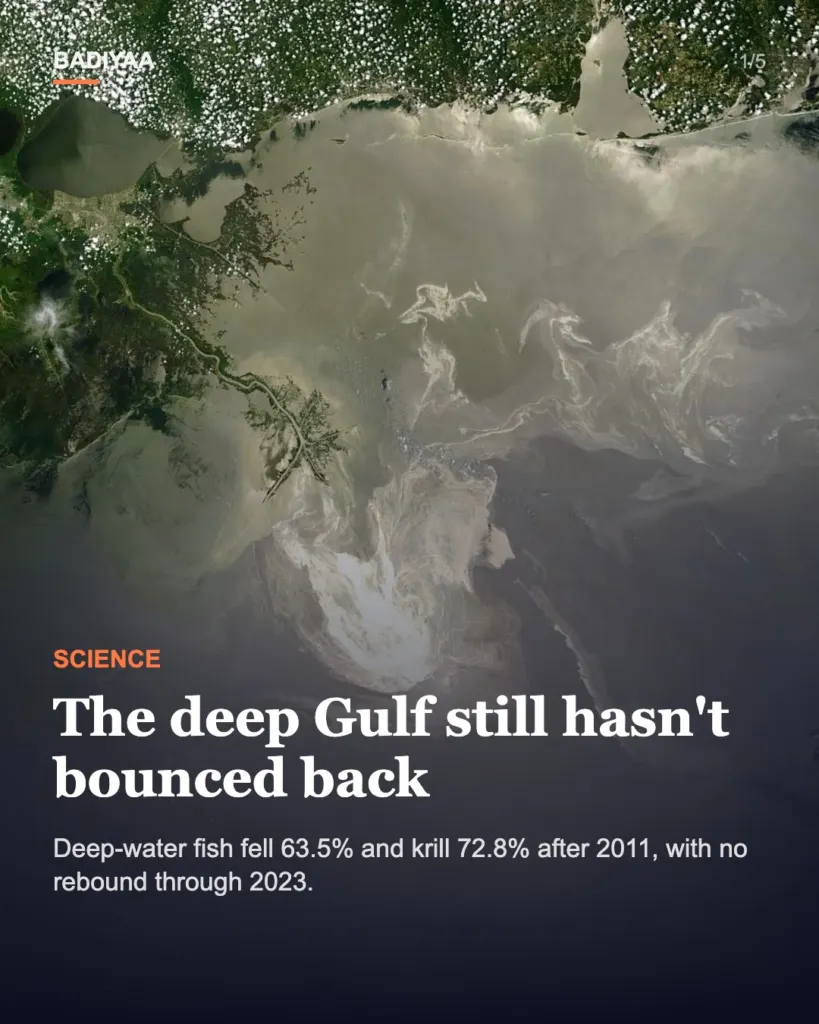 Slide 1 of 5: Deep-sea life in the Gulf of Mexico may still be reeling from Deepwater Horizon; fish fell 63.5% after 2011