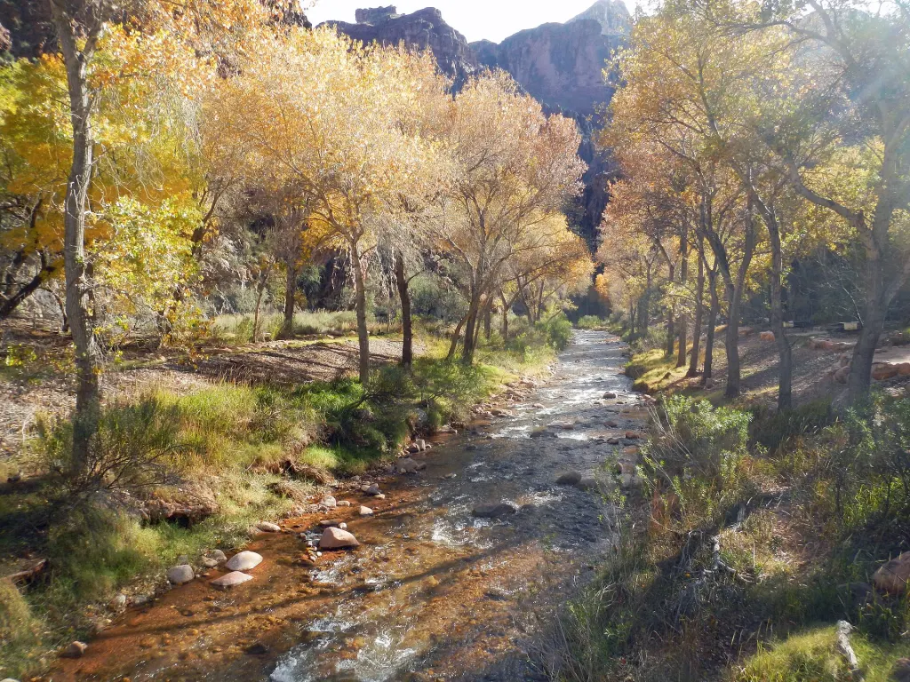 Bright Angel Creek flowing through the Grand Canyon