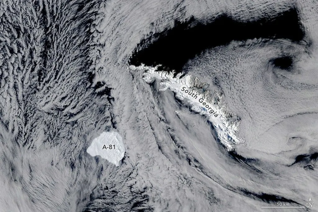 Satellite view of the flat white tabular iceberg A-81 floating in dark ocean water near the snowy mountains of South Georgia island, October 20, 2026