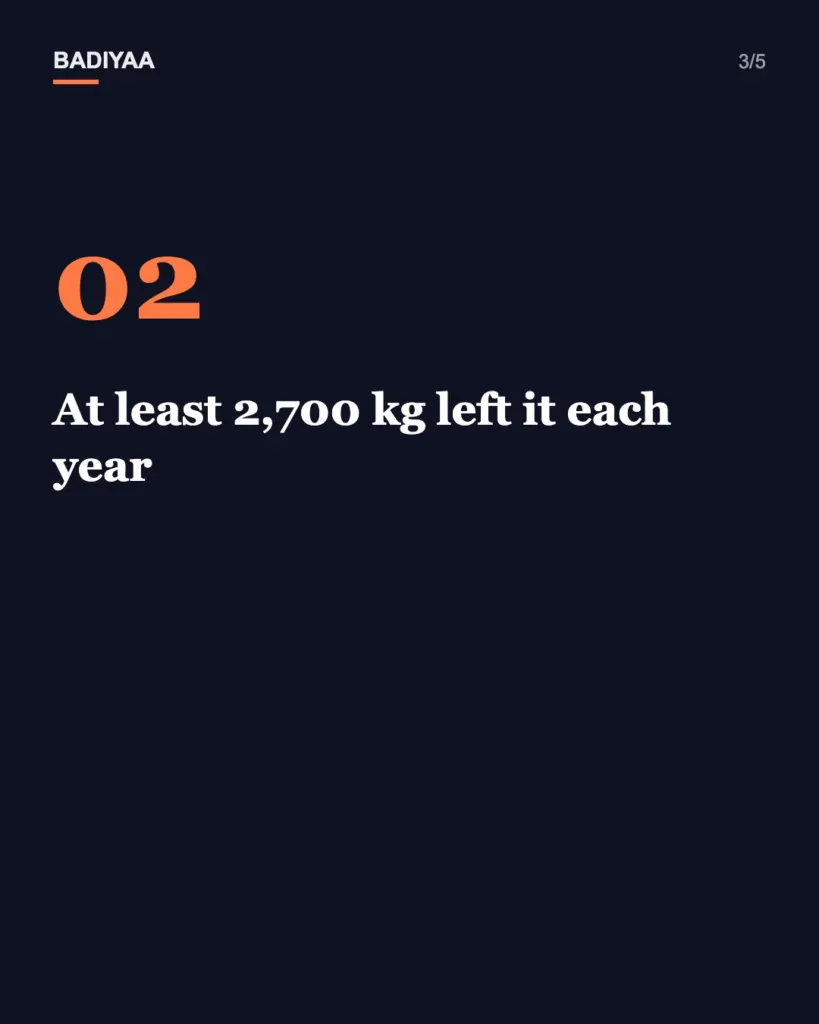 Slide 3 of 5: One North Sea foundation may shed nearly 6,000 pounds of sea life a year; a German team took 183 samples