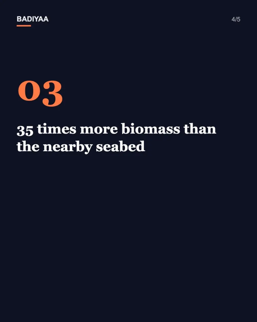 Slide 4 of 5: One North Sea foundation may shed nearly 6,000 pounds of sea life a year; a German team took 183 samples