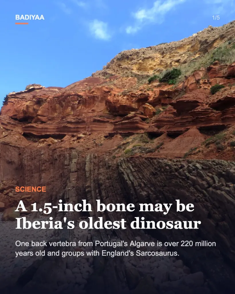 Slide 1 of 5: A thumb-sized bone from Portugal may be Iberia’s oldest dinosaur; it is more than 220 million years old
