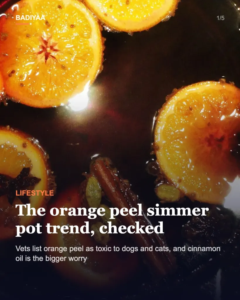 Slide 1 of 5: Simmering orange peels with cinnamon at home is trending again: what the pot does and the pet risks vets flag