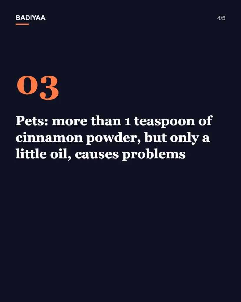 Slide 4 of 5: Simmering orange peels with cinnamon at home is trending again: what the pot does and the pet risks vets flag