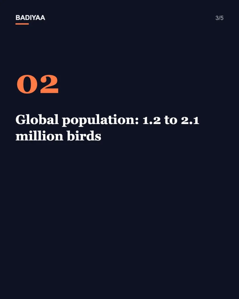 Slide 3 of 5: A 33-second short-eared owl clip draws 62,000 YouTube views; its hoots are a spring courtship call
